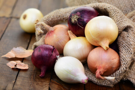 How to Grow Onions from Seeds Image