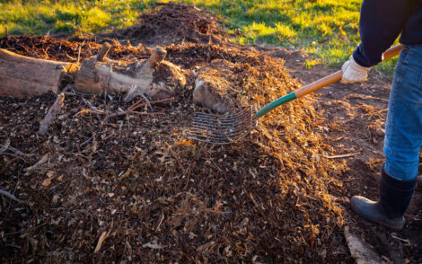 Different Intensive Gardening Methods: Pros and Cons Image