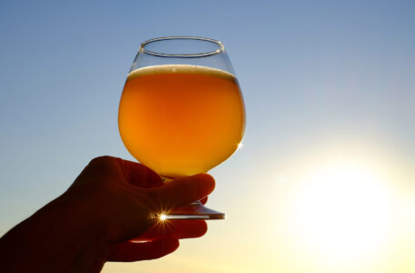 Aged Rosé Beer Recipe Image