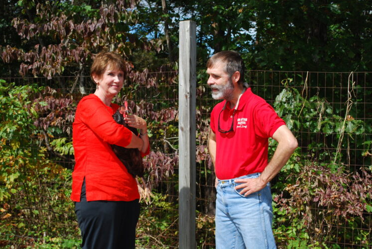 How to Raise Chickens as a Couple