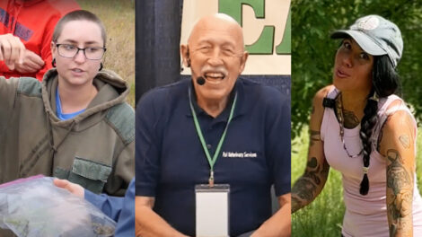 New Video Courses Coming to Mother Earth News Image