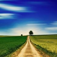 Leading 2018 Food and Agriculture News Stories