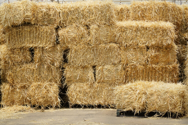 Straw and Cob House Building