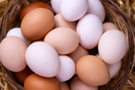 Build A Homemade Egg Candler Image