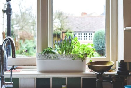 Kitchen Garden Ideas for Your Home Image