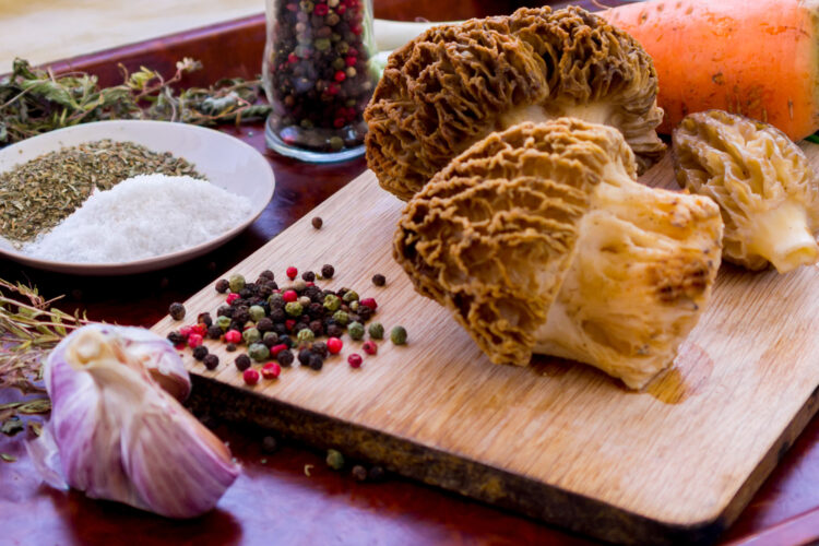 Morel Mushroom Chili Recipe