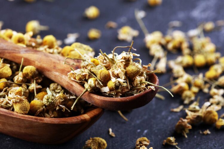 4 Herbs for Better Sleep Video