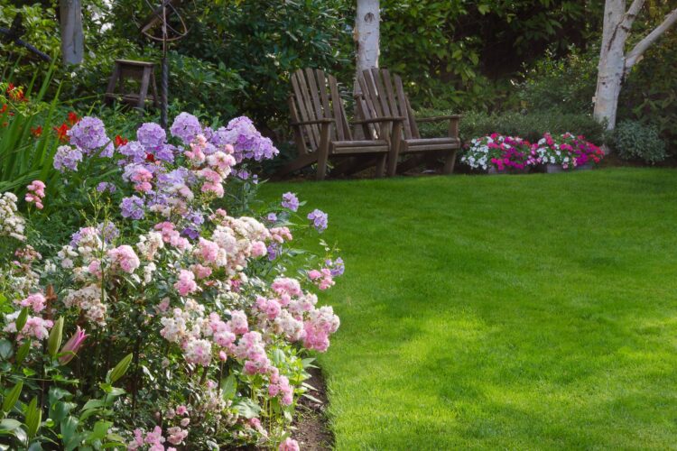 Alternatives to Grass in Backyards