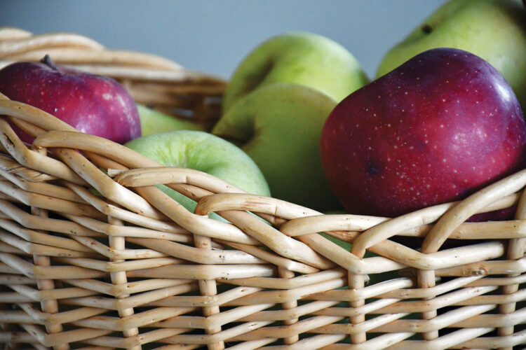 When Is Apple Picking Season?