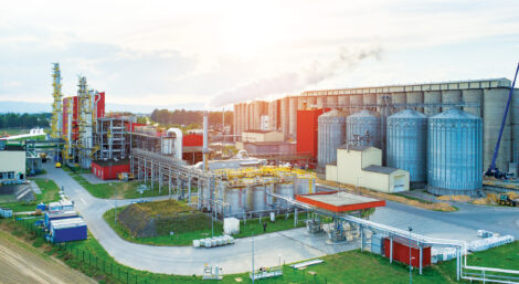 Biofuels: Pros and Cons for the Energy Transition Image