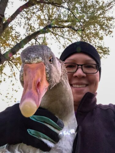 Pasturing Geese and Ducks Podcast