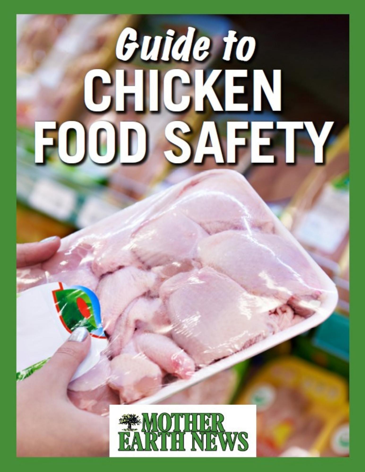 Chicken Food Safety