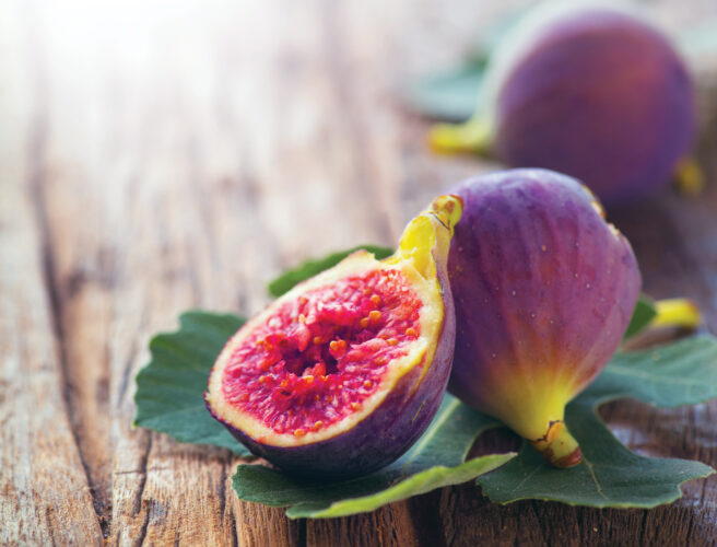 Cold Climate Figs: How to Prune Fig Trees