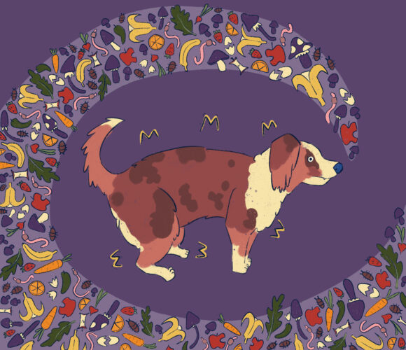 Compost Poisoning in Dogs