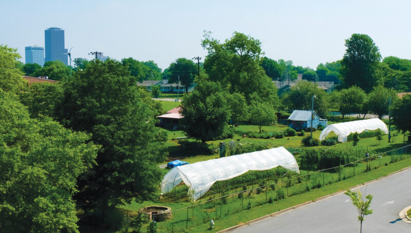 Community Garden Benefits Little Rock Neighborhood