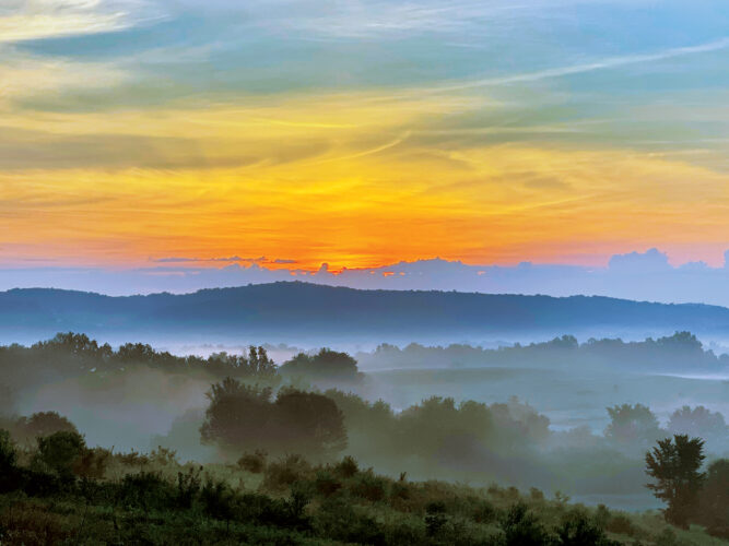 Wildlife Photography Tips for Beginners