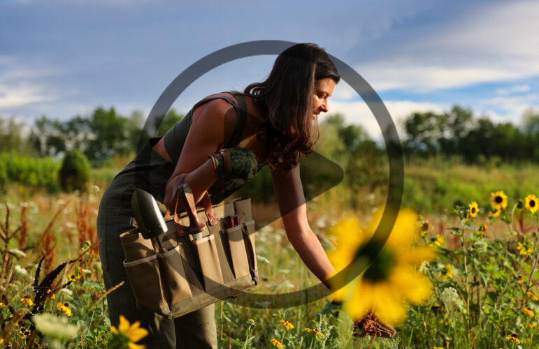 Sustainability and Houseplants with Summer Rayne Oakes