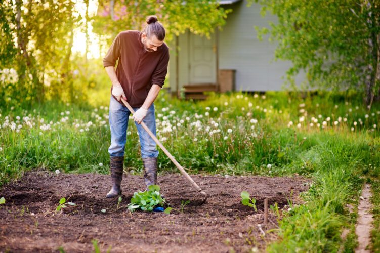 How to Select Garden Hoes for Gardening Tasks