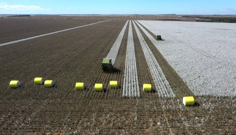 Is Organic Cotton Sustainable?