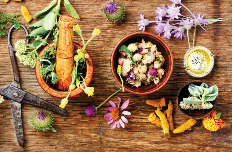 Herbs for Respiratory Health + Recipes