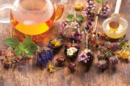 Herbs and Their Medicinal Uses to Remedy Winter Blues Image