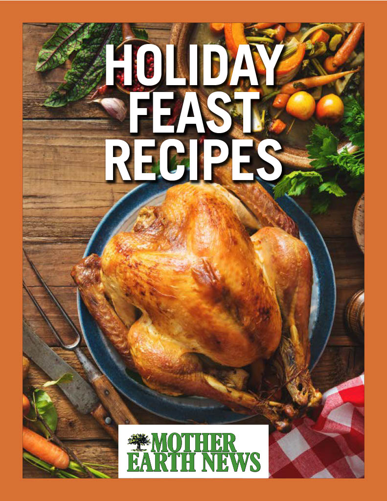 Holiday Feast Recipes