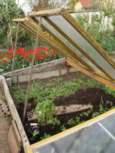 How to Build a Garden Hot Bed Image