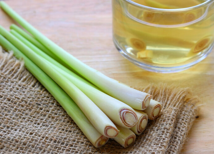 Discover Lemongrass Tea Benefits