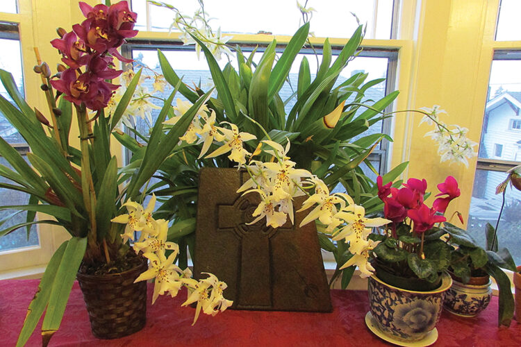 How to Make Orchids Reflower