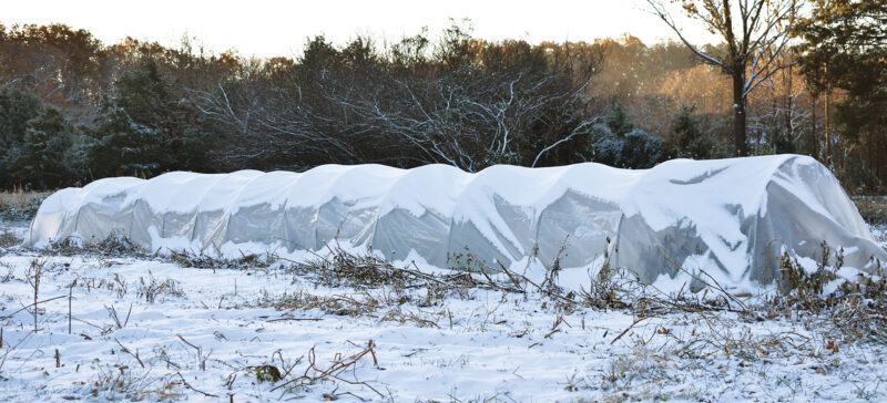 Profiting from the Persephone Period