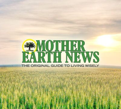 Toyota Prius C Has the Lowest Operating Cost Per Mile