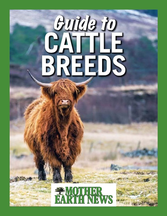Heritage Cattle Breeds Resource