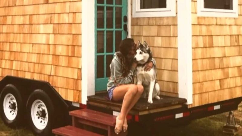 We Built an Amazing Off-Grid Tiny House on Our Homestead for a Customer and Here is What We Learned