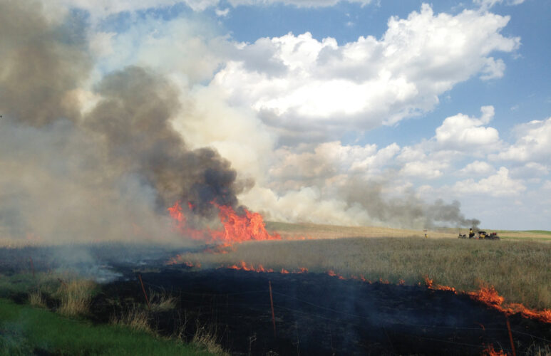 How to Do a Controlled Burn