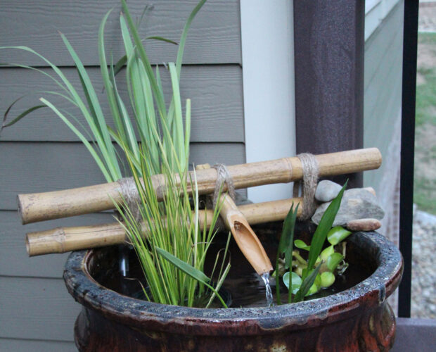 DIY Bamboo Project: Patio Water Garden