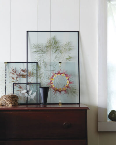 Connect Your Home to Nature