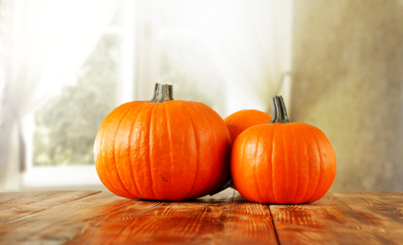 Soft Pumpkin Pretzels Recipe