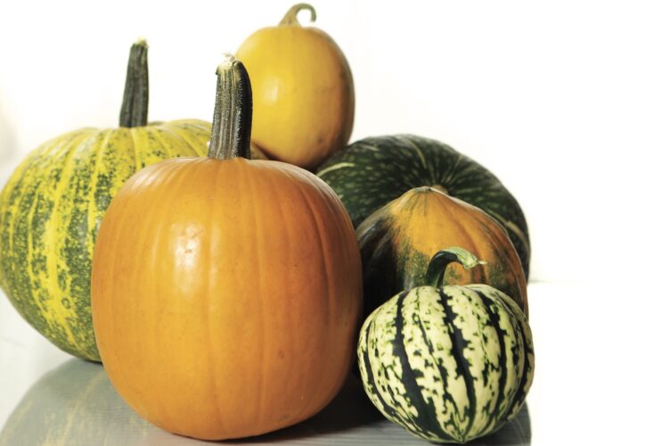 The Best Pumpkins for Cooking