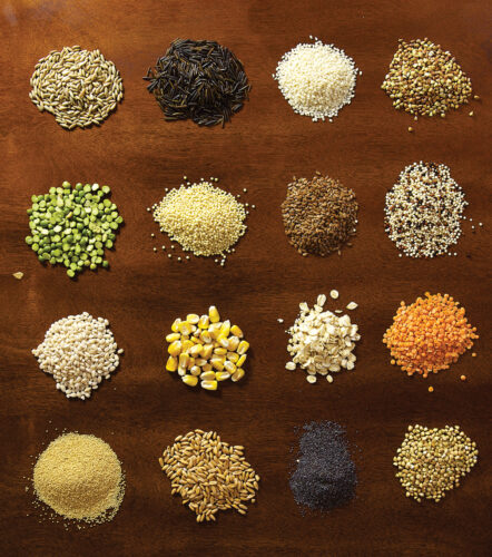 How to Sprout Grains for Bread