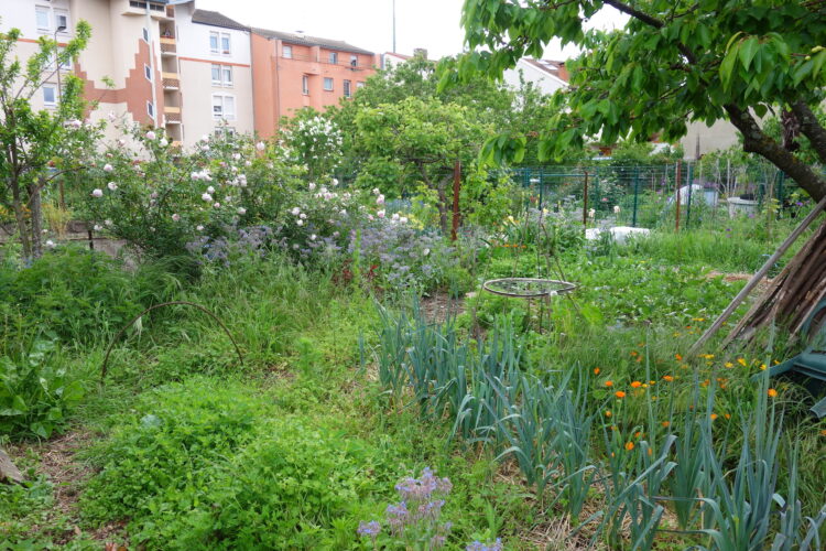 How to Start Gardening Groups Near Me