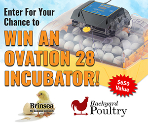 Brinsea Ovation Incubator Giveaway
