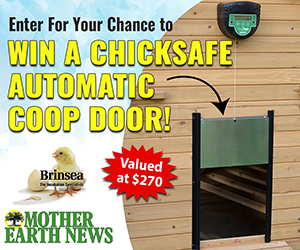 Brinsea ChickSafe Automatic Coop Doors Giveaway