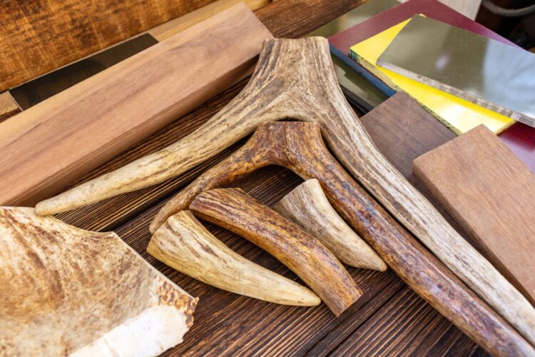 Using the Whole Deer: What to Do with Deer Bones and Parts