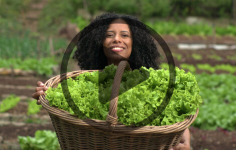 Urban Farming & Selling Microgreens Image